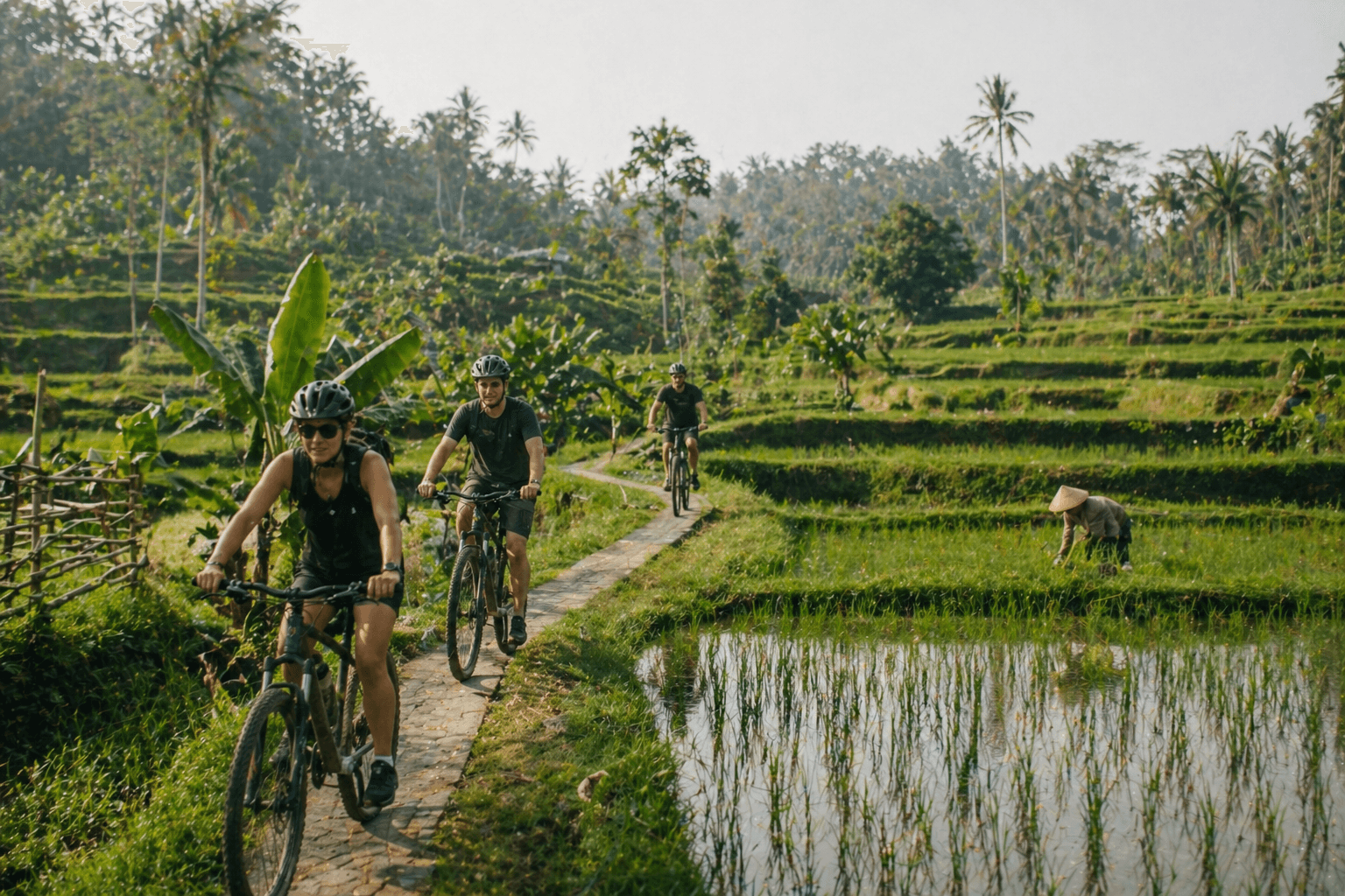 Cyclists riding through Bali rice terraces